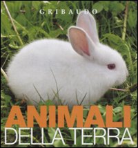 Animali di terra. Osservo e imparo