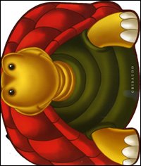 La mia amica tartaruga. Con adesivi