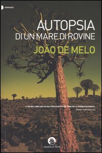 Autopsia di un mare di rovine