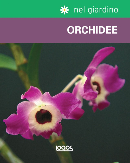 Nel giardino: orchidee