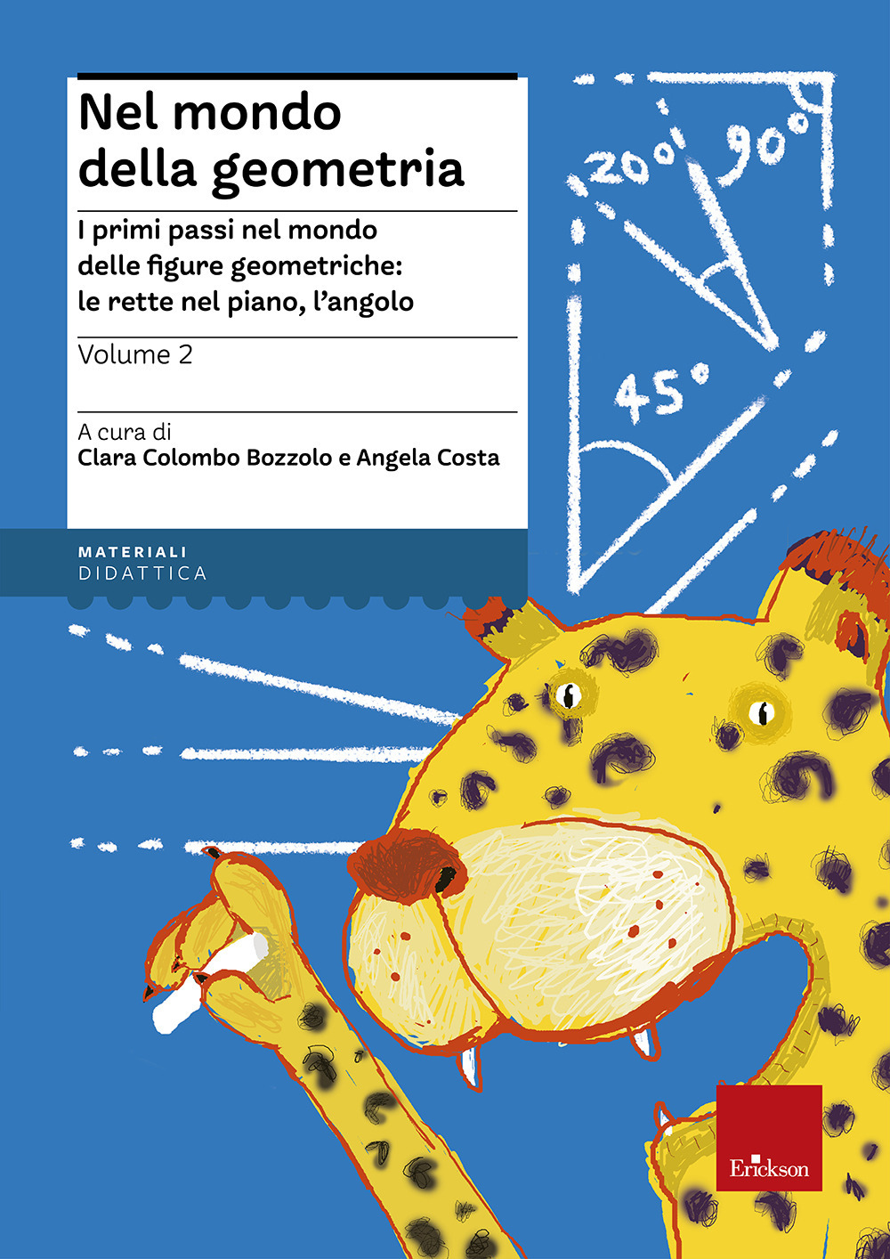 Nel mondo della geometria. Vol. 2: I primi passi nel mondo delle figure geometriche: le rette nel piano, l'angolo