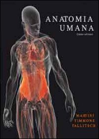 Anatomia umana