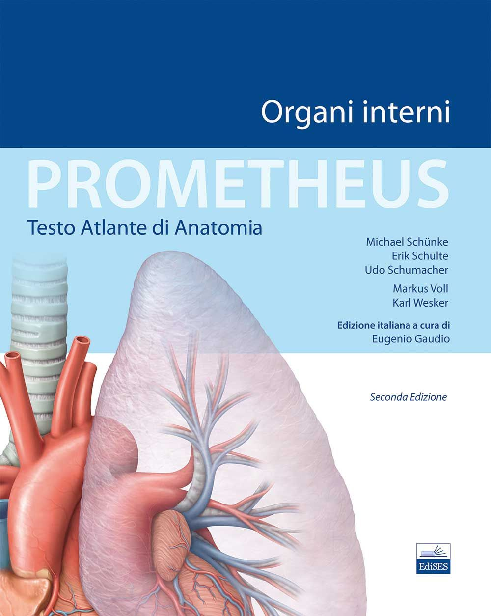 Prometheus. Testo atlante di anatomia. Organi interni