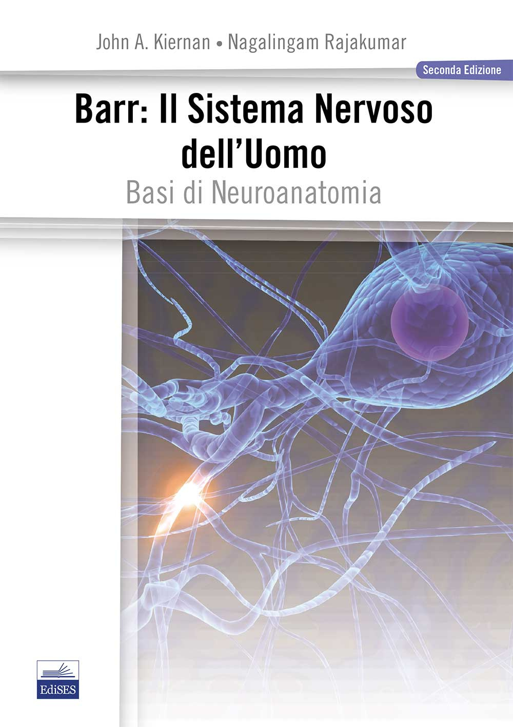 Barr. Il sistema nervoso dell'uomo. Basi di neuroanatomia