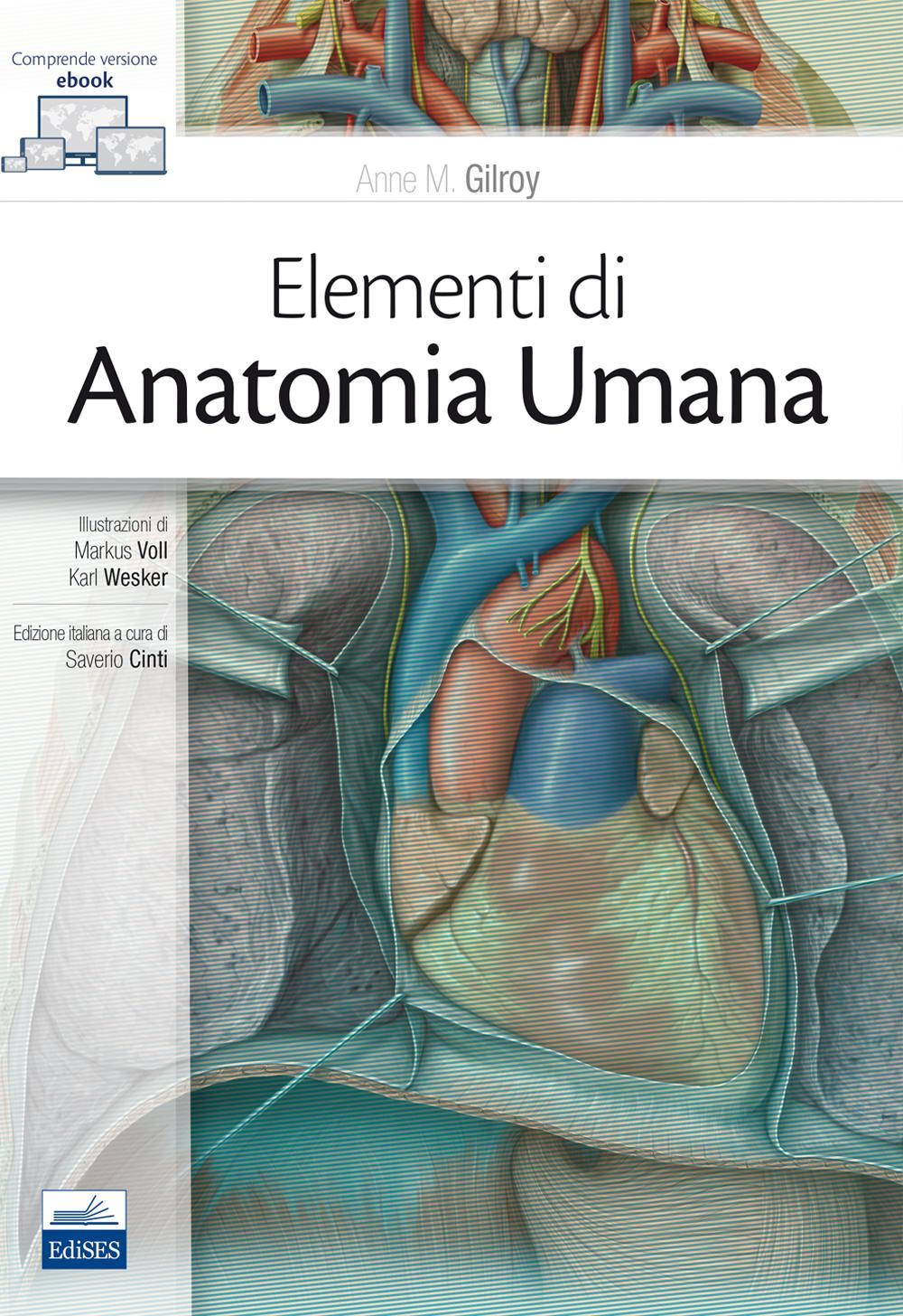 Elementi di anatomia umana
