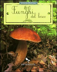 Funghi del bosco