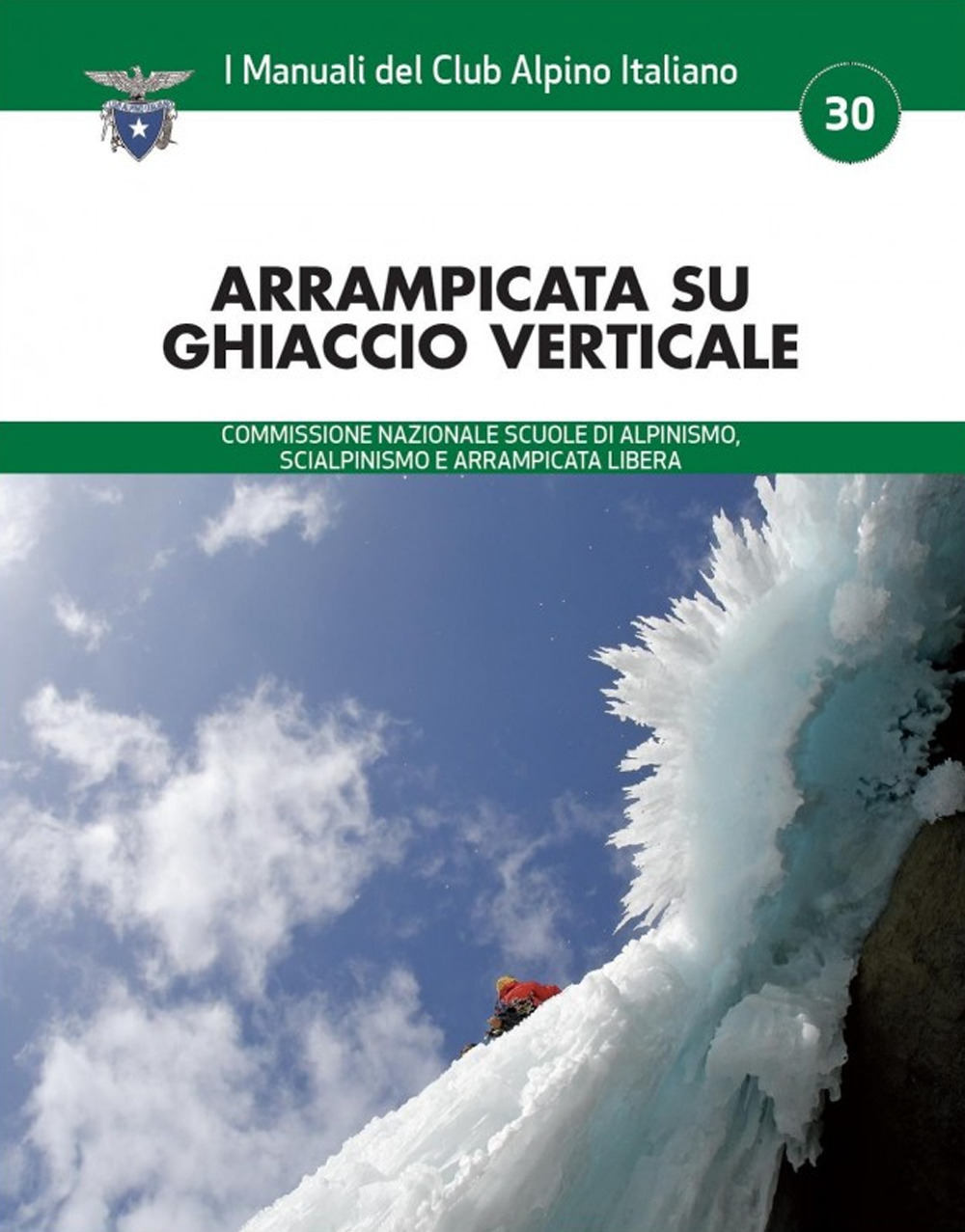 Arrampicata su ghiaccio verticale