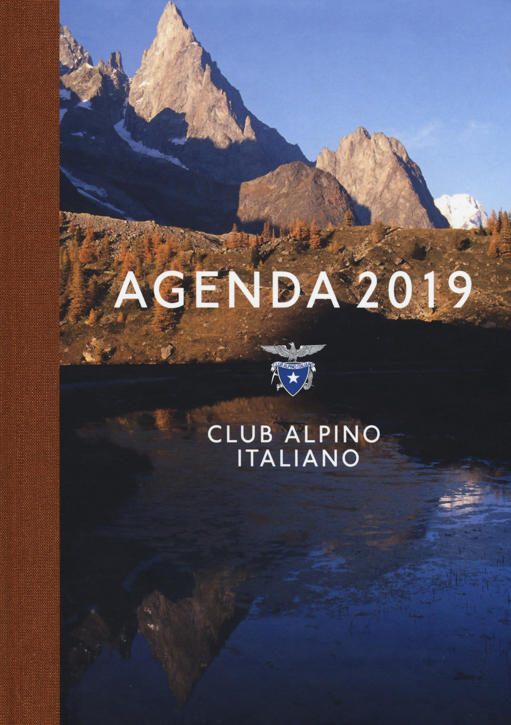 Agenda CAI 2019