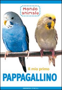 Il mio primo pappagallino