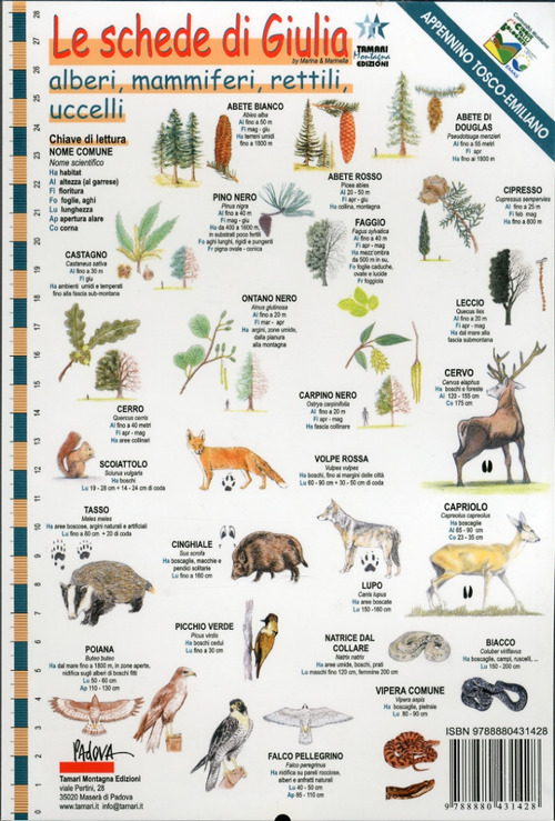 Le schede di Giulia. Appennino Tosco-Emiliano. Alberi, mammiferi, rettili, uccelli