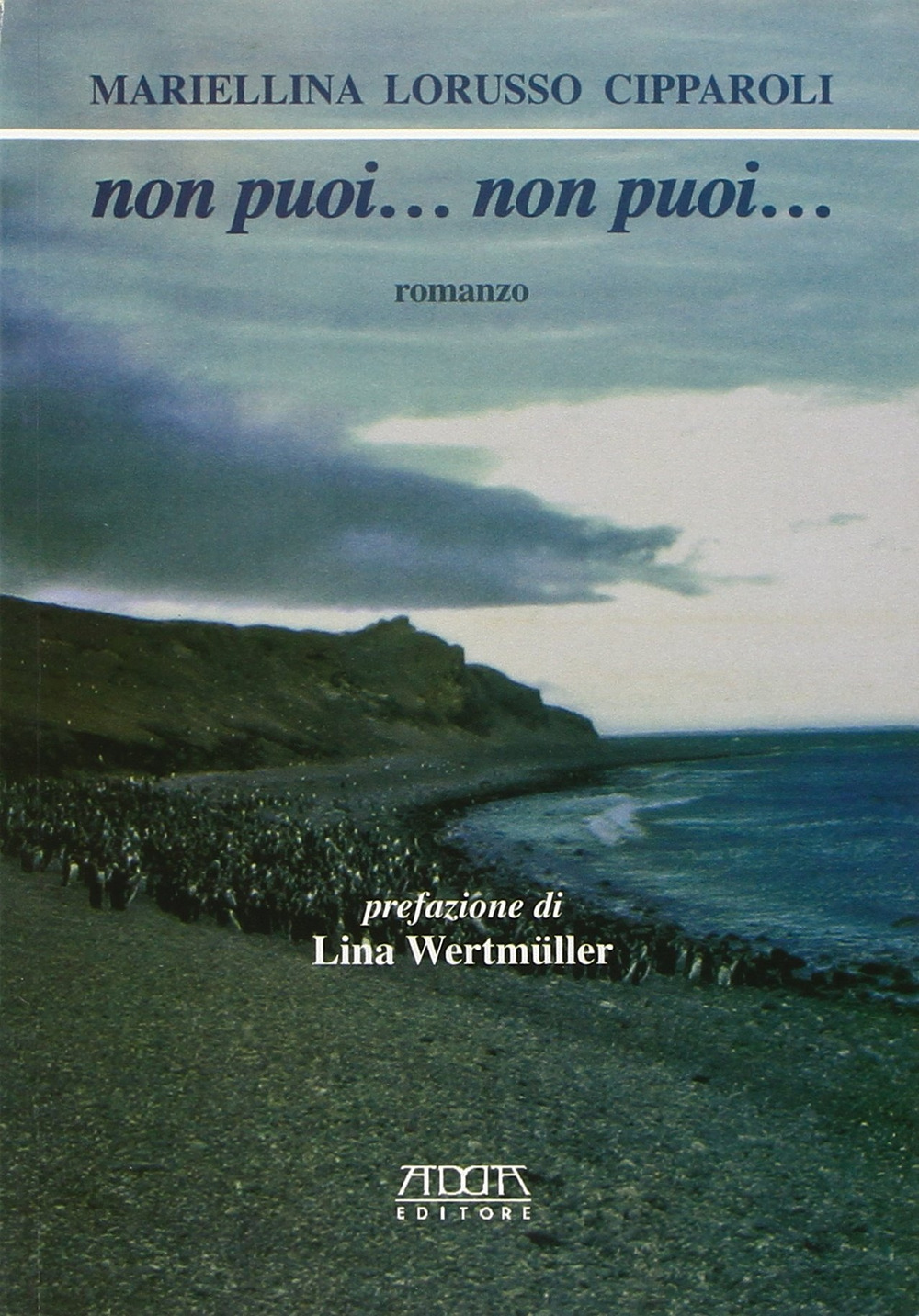 Non puoi... Non puoi