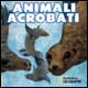 Animali acrobati