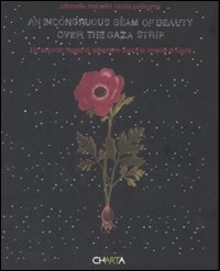 Incongruous beam of beauty over the Gaza strip-Un assurdo raggio di splendore sopra la striscia di Gaza (An)