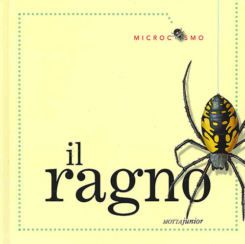 Il ragno