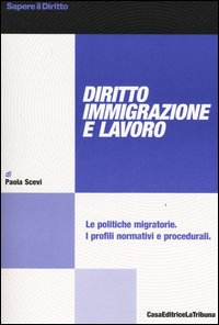 Diritto immigrazione e lavoro. Le politiche migratorie. I profili normativi e procedurali