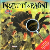 Insetti e ragni