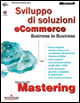 Mastering. Sviluppo di soluzioni eCommerce Business to Business