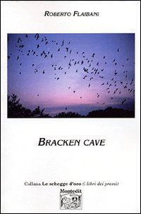 Bracken cave