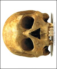 Annual Art directors club italiano. Vol. 18