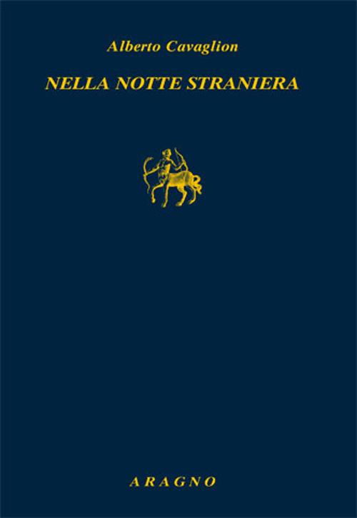 Nella notte straniera