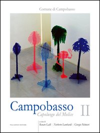 Campobasso. Capoluogo del Molise. Vol. 2: Funzione urbana, cultura