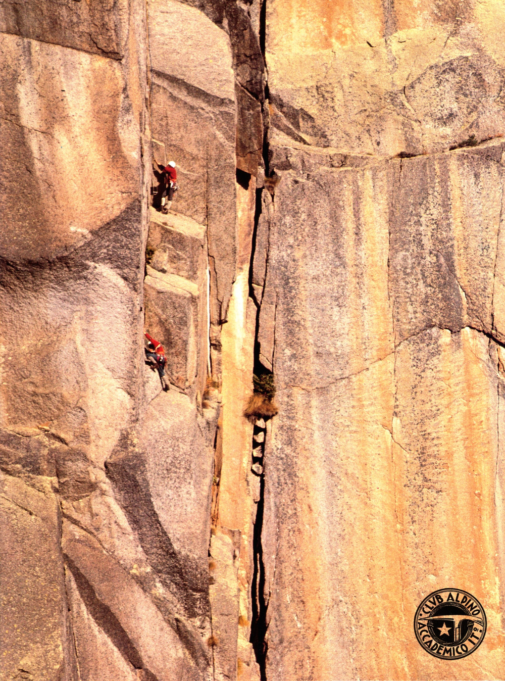 Annuario Accademico. Vol. 99