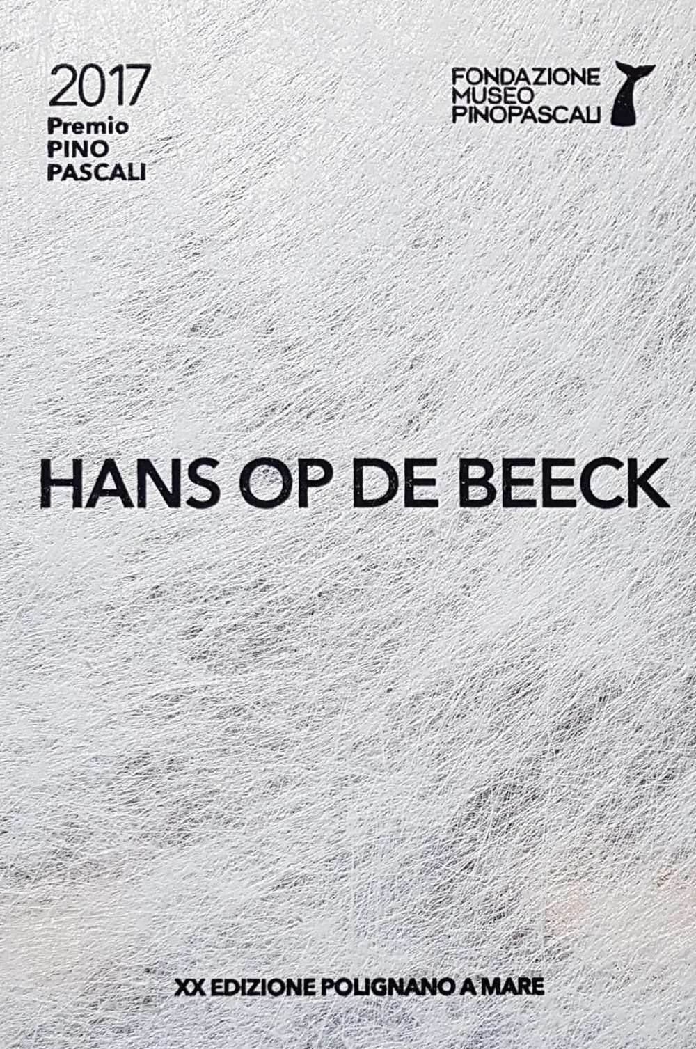 Hans Op de Beeck. Premio Pino Pascali 2017