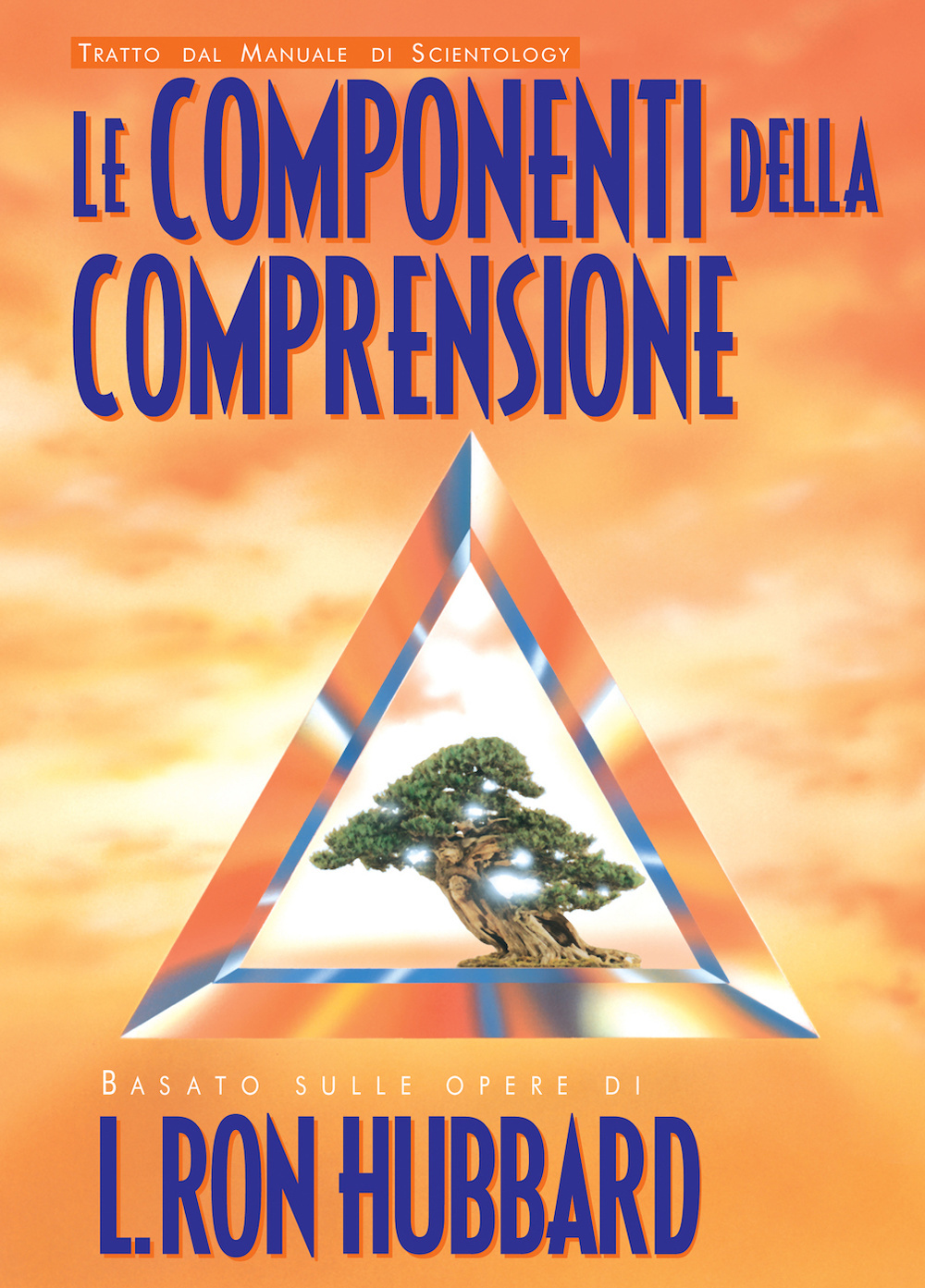 Le componenti della comprensione