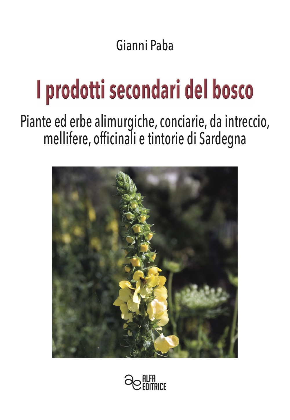 I prodotti secondari del bosco. Piante ed erbe alimurgiche, conciarie, da intreccio, mellifere, officinali e tintorie di Sardegna