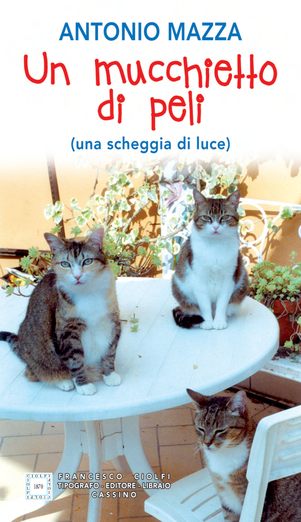 Un mucchietto di peli (una scheggia di luce)