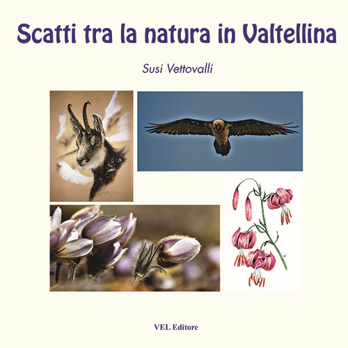 Scatti tra la natura in Valtellina