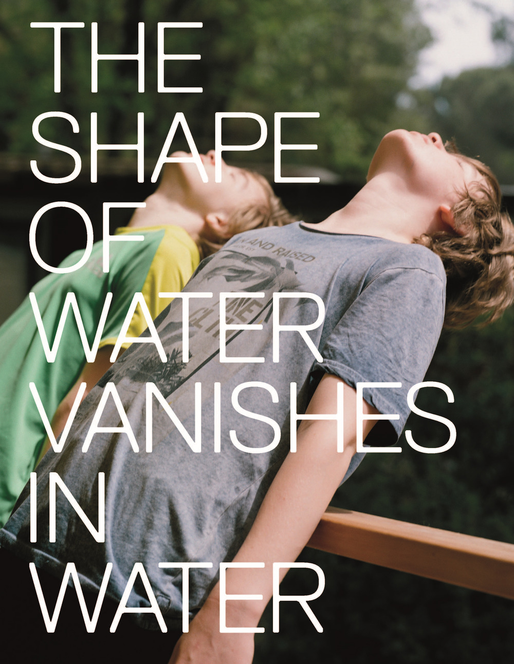 Marina Caneve. The shape of water vanishes into water. Ediz. italiana e inglese