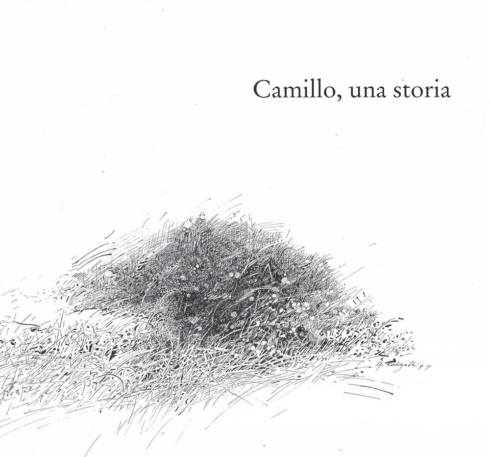 Camillo, una storia