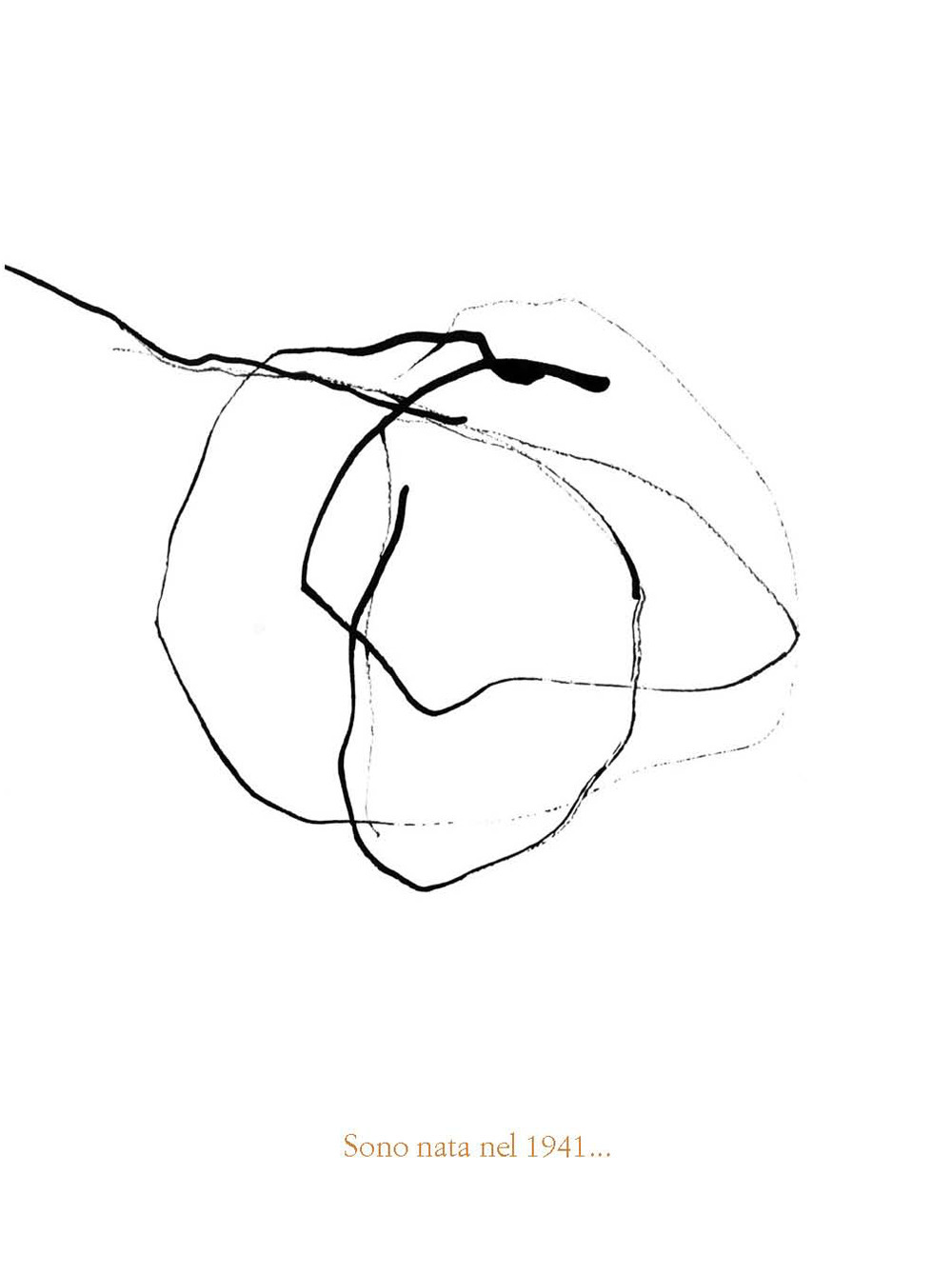 Sono nata nel 1941
