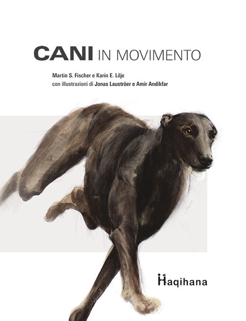 Cani in movimento