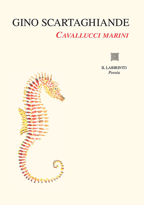 Cavallucci marini