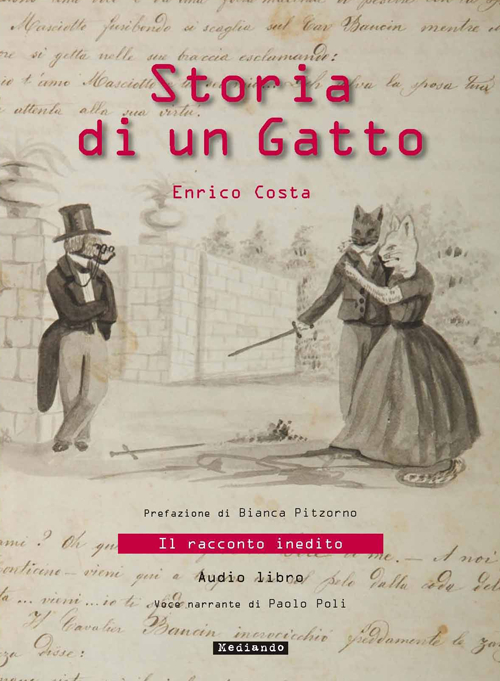 Storia di un gatto