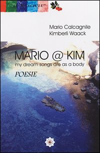 Mario @ Kim. My dream song areas as a body