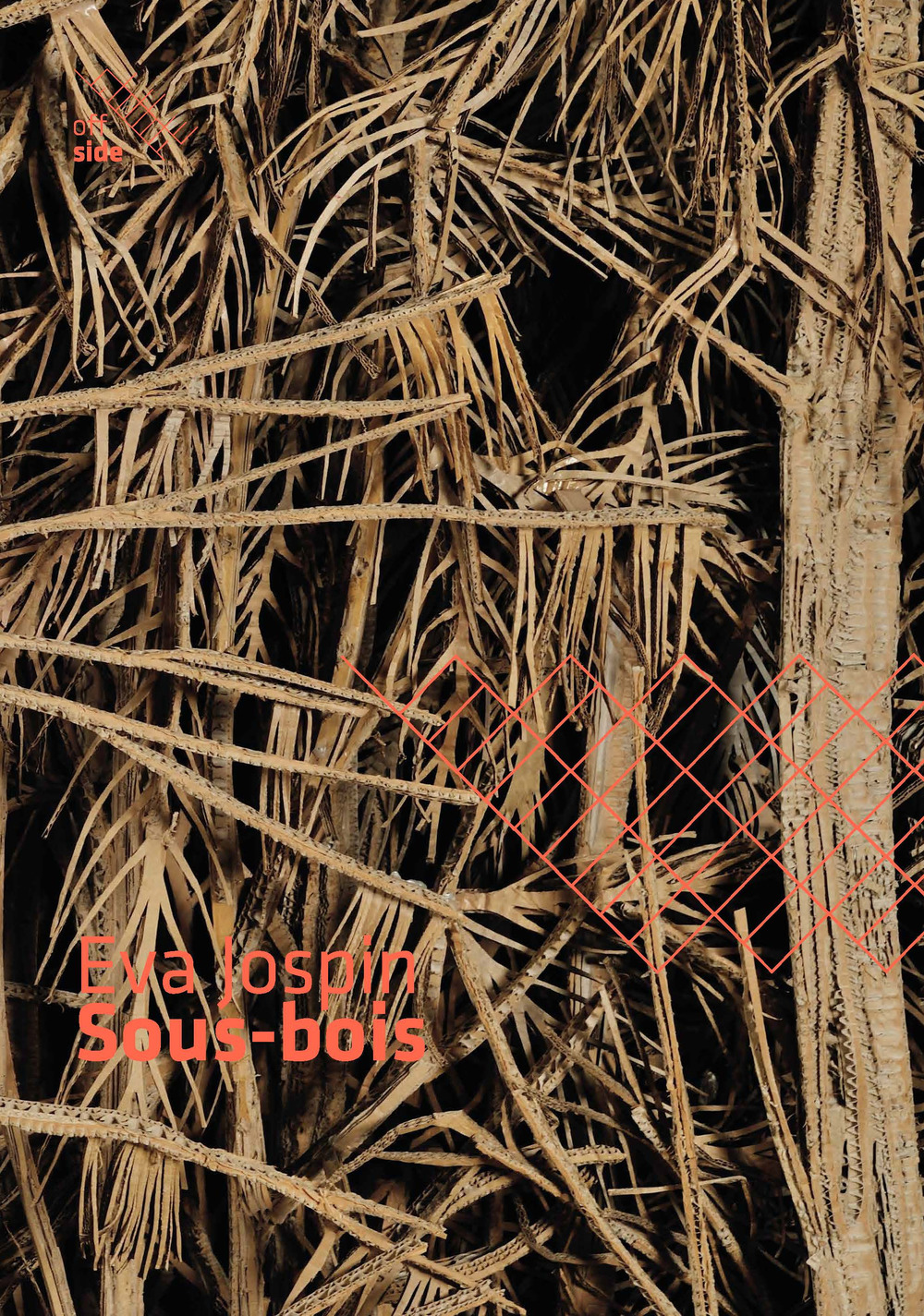 Eva Jospin. Sous-bois