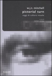 Pictorial turn. Saggi di cultura visuale