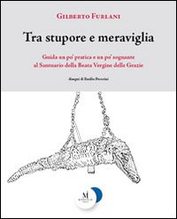 Tra stupore e meraviglia. Guida un po' pratica e un po' sognante al santuario della beata Vergine delle Grazie