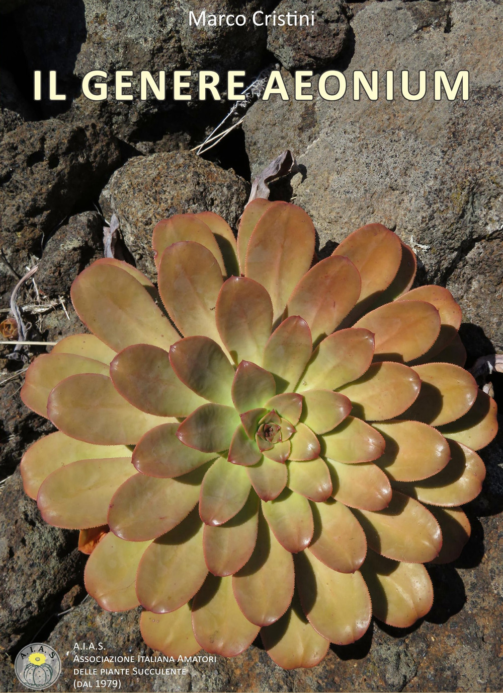 Il genere Aeonium