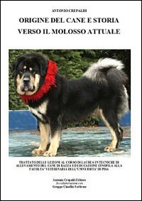 Origine del cane e storia verso il molosso attuale