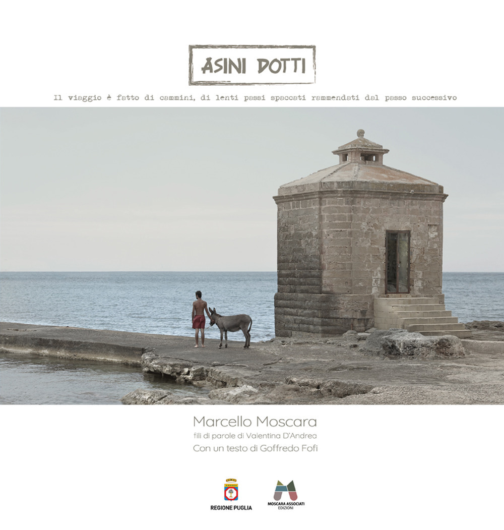 Asini dotti