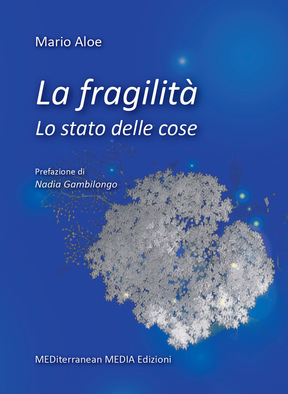 La fragilità. Lo stato delle cose