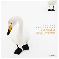 Gli angeli dell'inverno
