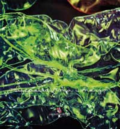 Raffaella Rosa Lorenzo. Catalogo