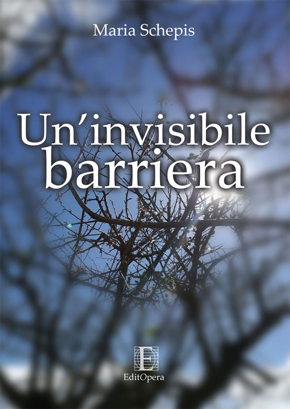 Un'invisibile barriera