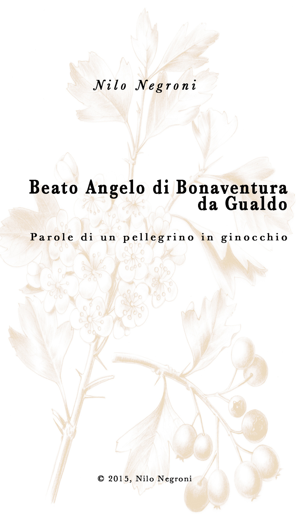 Beato Angelo di Bonaventura da Gualdo. Parole di un pellegrino in ginocchio