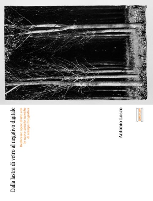 Dalla lastra di vetro al negativo digitale. Realizzare opere d'arte con le nuove antiche tecniche di stampa fotografica